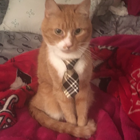 Meet your Posher, Lucie - Picture 1 of 1